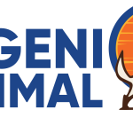 SEMINARIO SISTEMA REFEL INGENIO ANIMAL