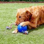 Pelota Con Cuerda Jolly Pets, 4.5 Pulgadas - Imagen 2