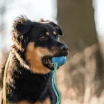 Pelota Blanda Con Cuerda, HS Sprenger 6,5CM - Imagen 2
