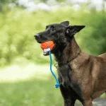 Pelota Divertida HS Sprenger - Imagen 2