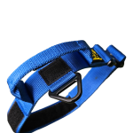 Collar Táctico Euro Joe Azul, Talla XXL - Imagen 2