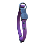 Collar Biothane Purpura Con Cierre HS Sprenger