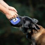 Mordedor Roll Grande, Bianco Suits