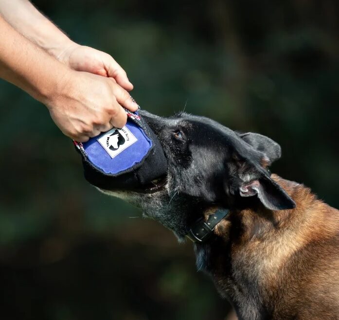 Roll-Grande-e1655088918629.jpg Mordedor Roll Grande, Bianco Suits - Imagen 1